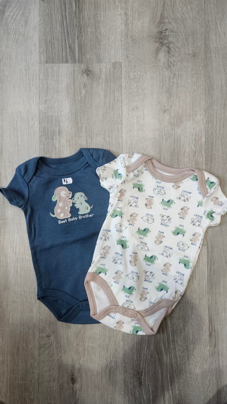 Duck Duck Goose 3-6 Month Infant Baby Clothes Body Suit 2 Pack Bundle